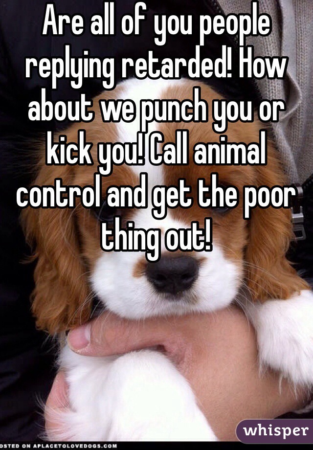 Are all of you people replying retarded! How about we punch you or kick you! Call animal control and get the poor thing out! 