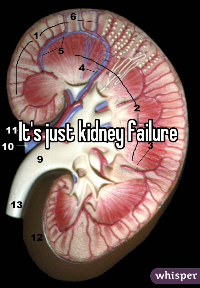It's just kidney failure 