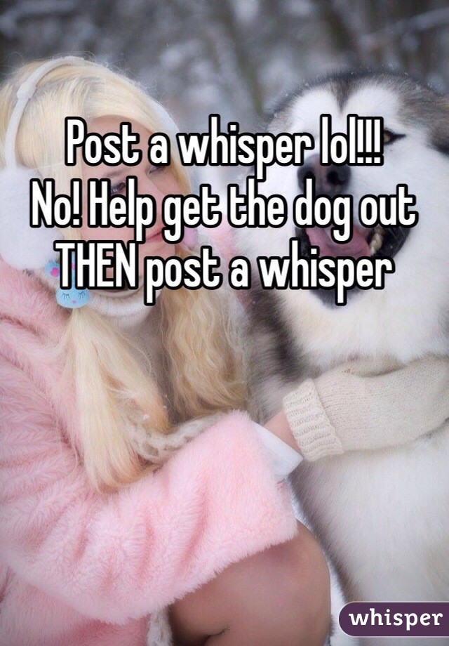 Post a whisper lol!!! 
No! Help get the dog out THEN post a whisper 