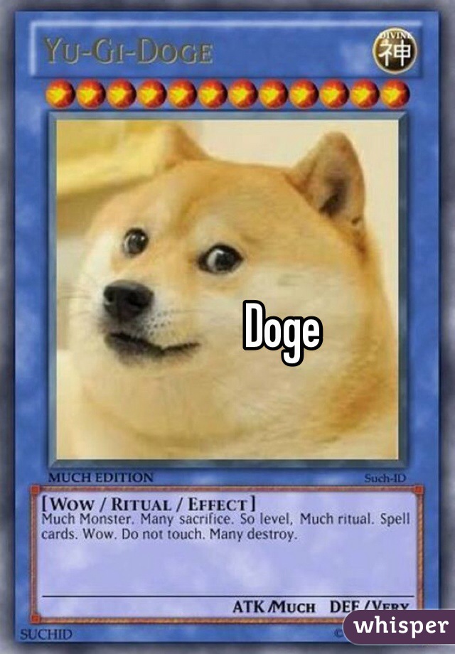 Doge