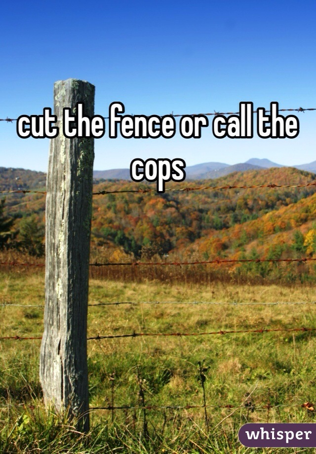 cut the fence or call the cops