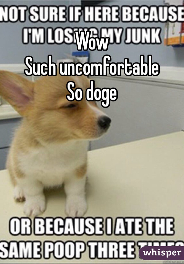 Wow
Such uncomfortable
So doge