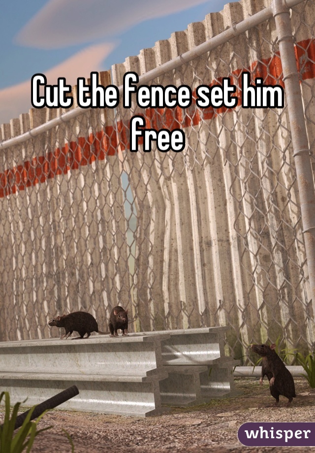 Cut the fence set him free