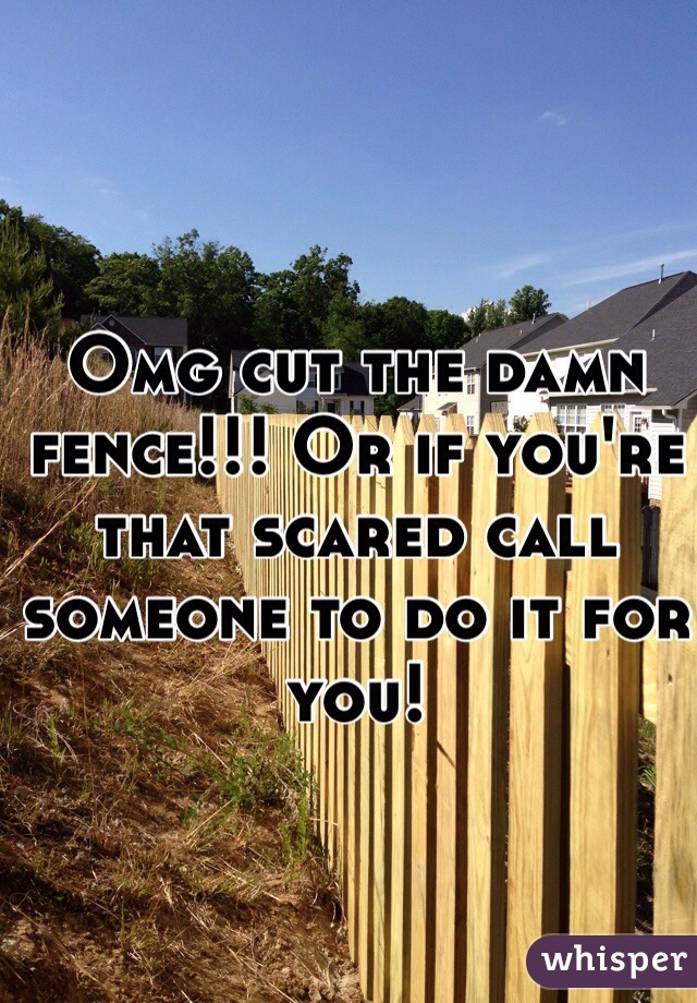 Omg cut the damn fence!!! Or if you're that scared call someone to do it for you! 