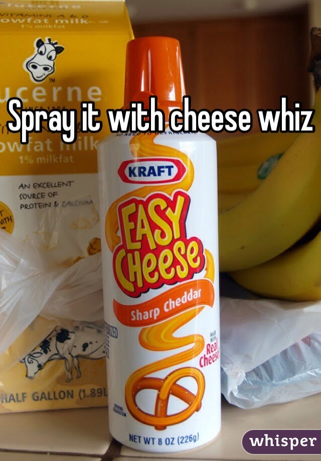 Spray it with cheese whiz
