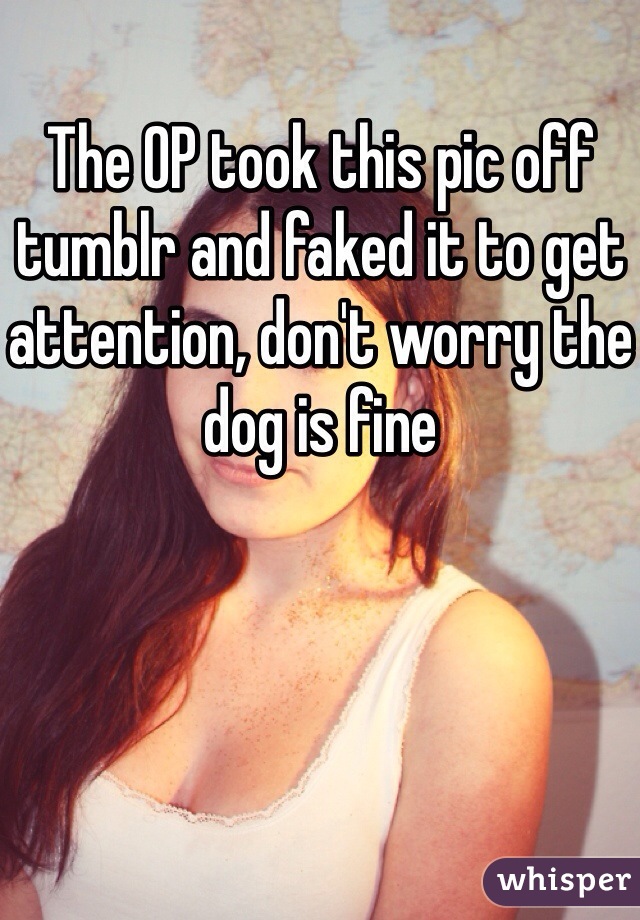 The OP took this pic off tumblr and faked it to get attention, don't worry the dog is fine