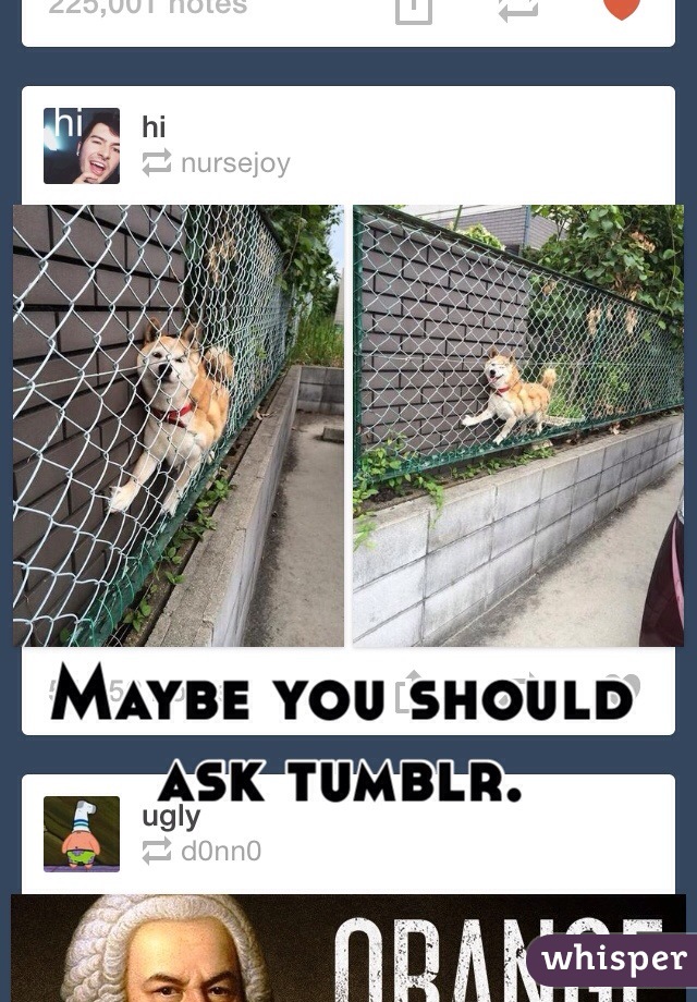 Maybe you should ask tumblr. 