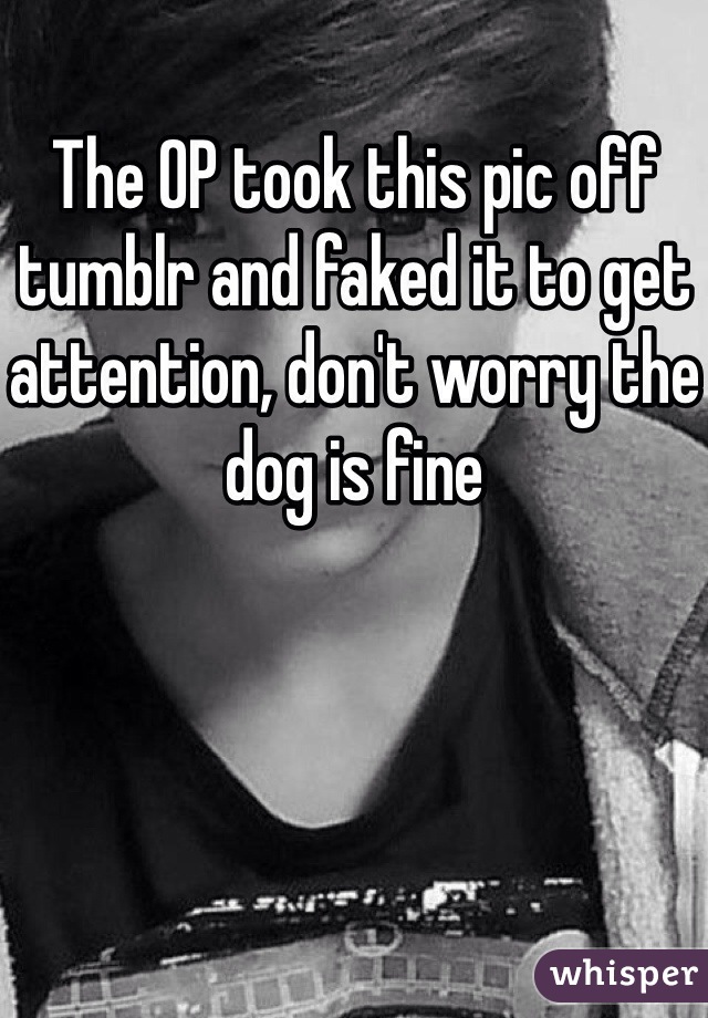 The OP took this pic off tumblr and faked it to get attention, don't worry the dog is fine