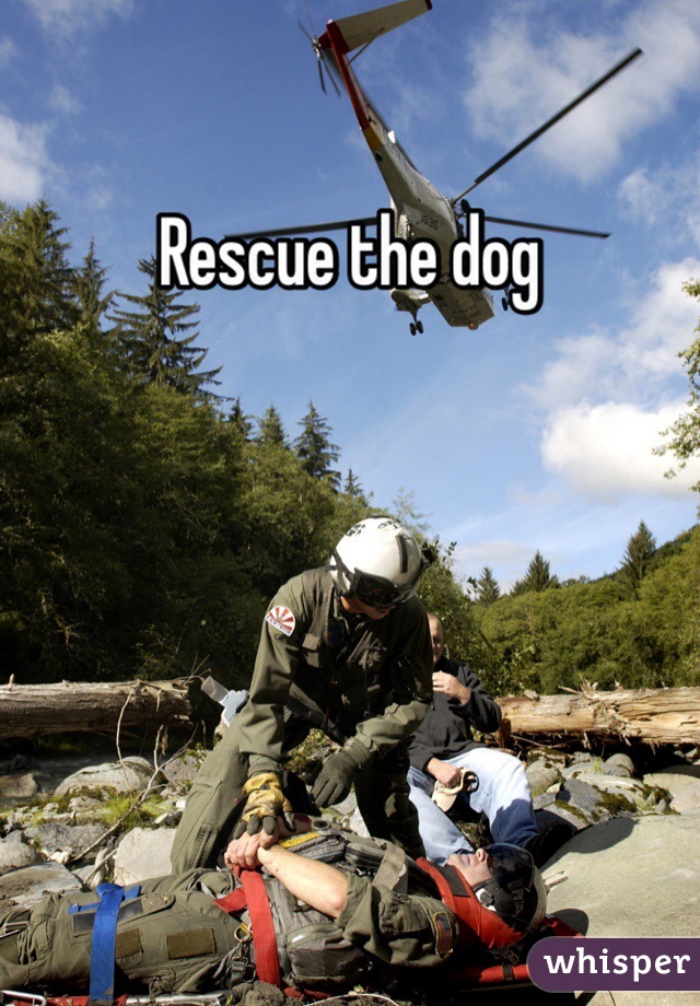 Rescue the dog