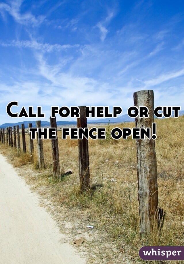 Call for help or cut the fence open! 