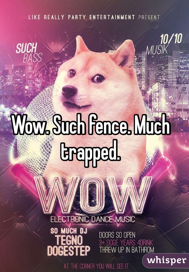 Wow. Such fence. Much trapped. 