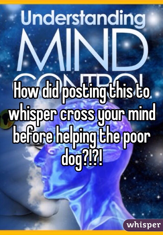 How did posting this to whisper cross your mind before helping the poor dog?!?!