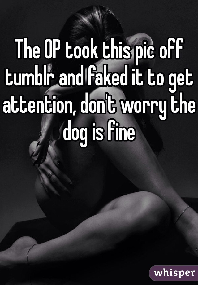 The OP took this pic off tumblr and faked it to get attention, don't worry the dog is fine