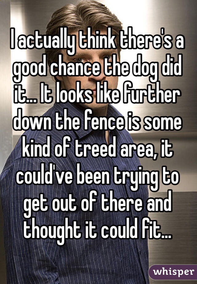 I actually think there's a good chance the dog did it... It looks like further down the fence is some kind of treed area, it could've been trying to get out of there and thought it could fit...