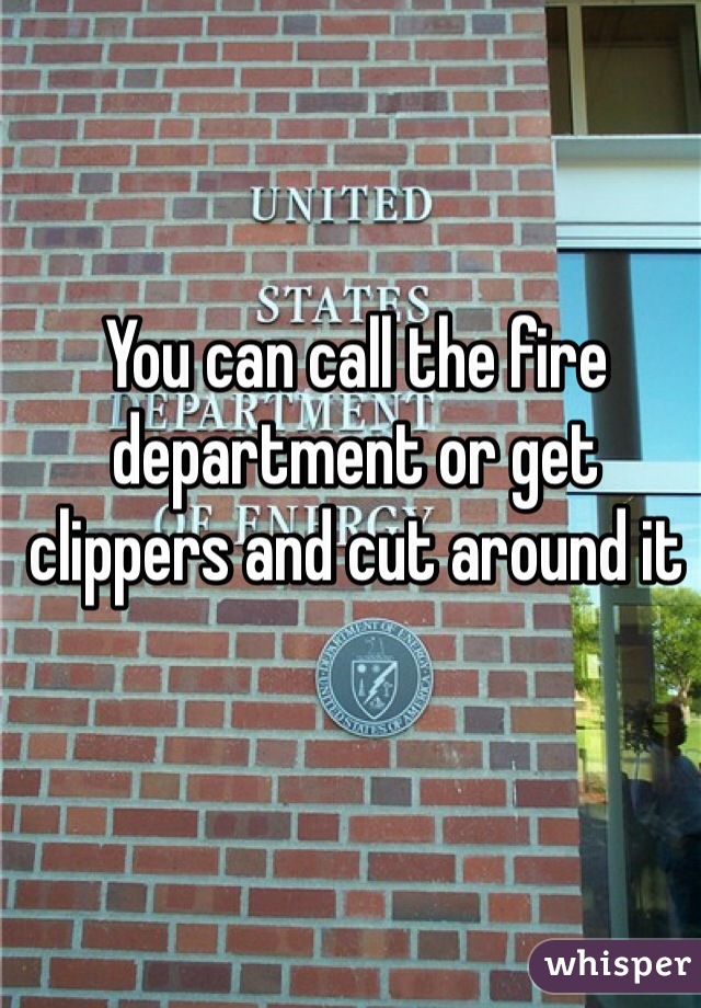 You can call the fire department or get clippers and cut around it