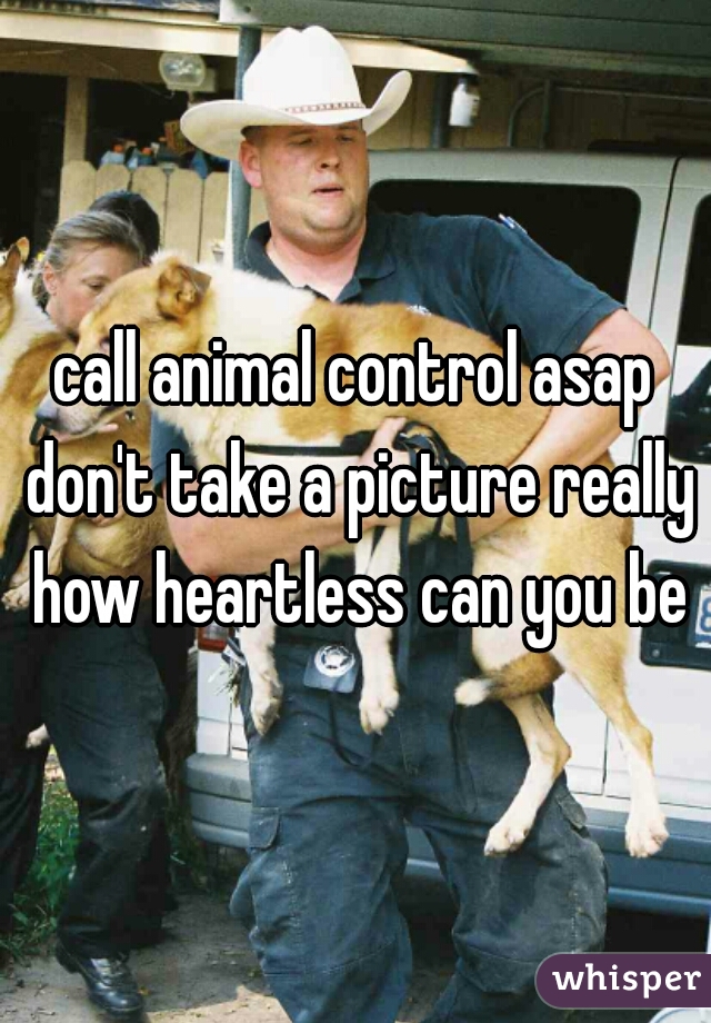 call animal control asap don't take a picture really how heartless can you be