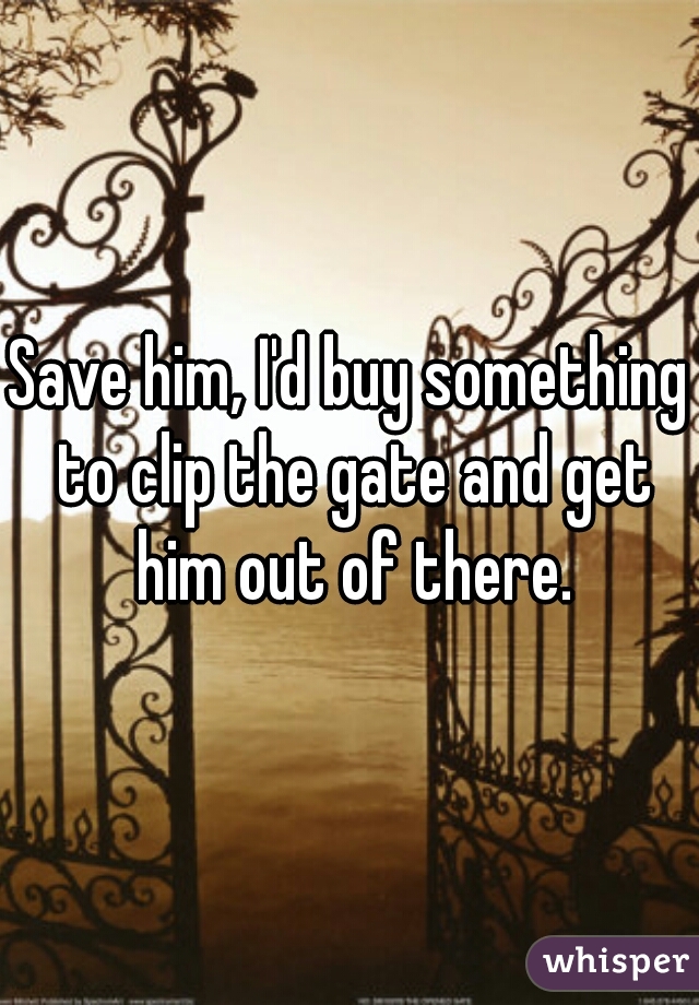 Save him, I'd buy something to clip the gate and get him out of there.