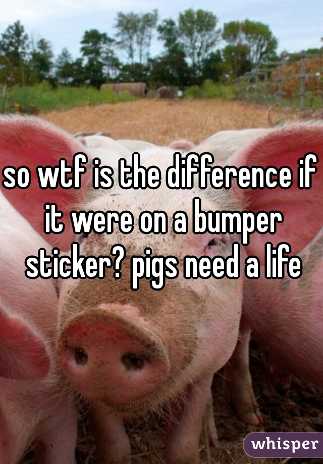 so wtf is the difference if it were on a bumper sticker? pigs need a life