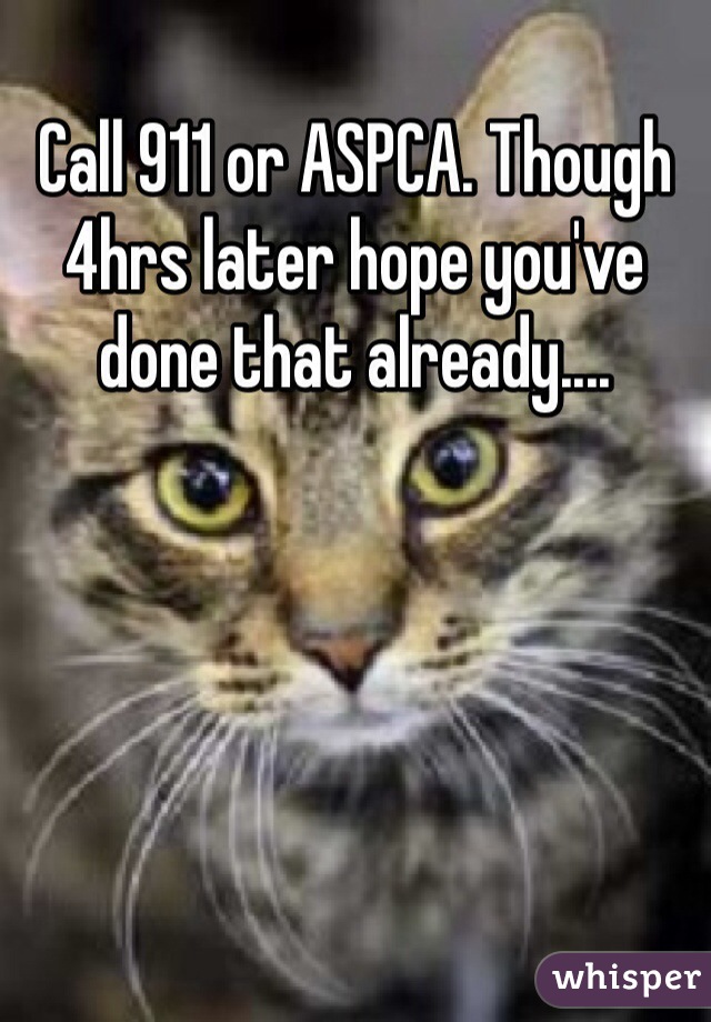 Call 911 or ASPCA. Though 4hrs later hope you've done that already....