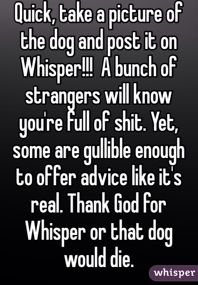 Quick, take a picture of the dog and post it on Whisper!!!  A bunch of strangers will know you're full of shit. Yet, some are gullible enough to offer advice like it's real. Thank God for Whisper or that dog would die.