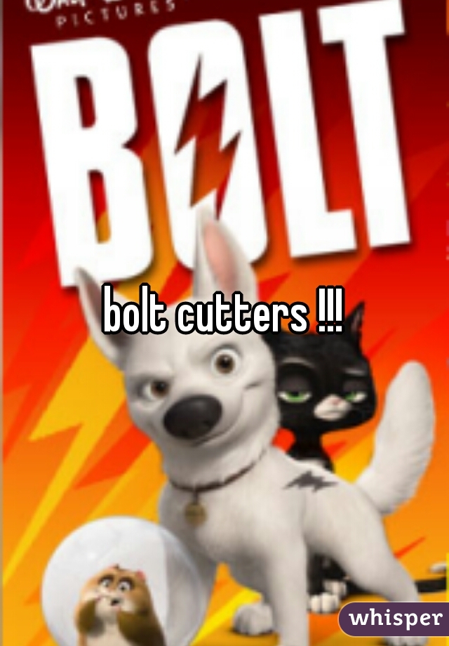 bolt cutters !!!