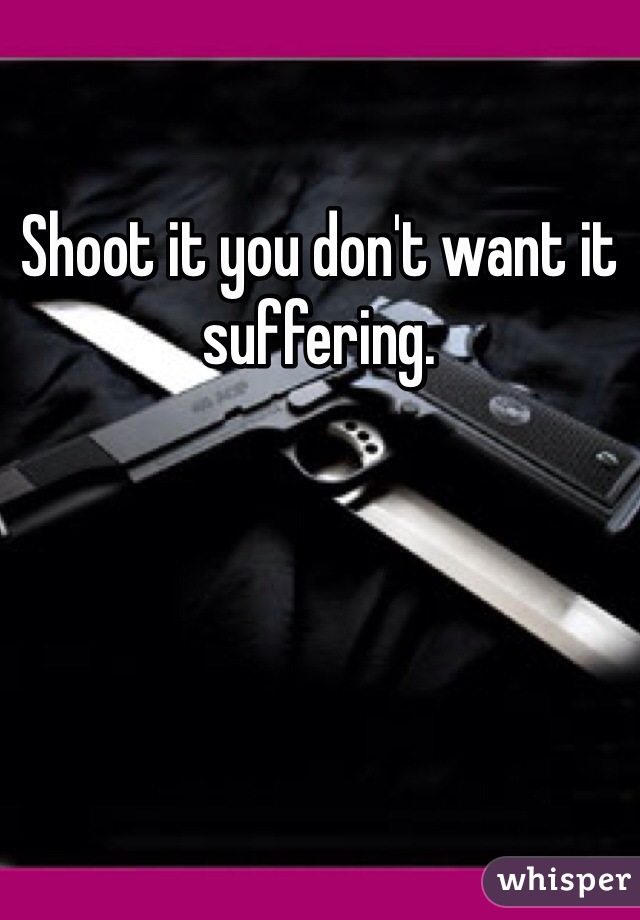 Shoot it you don't want it suffering. 