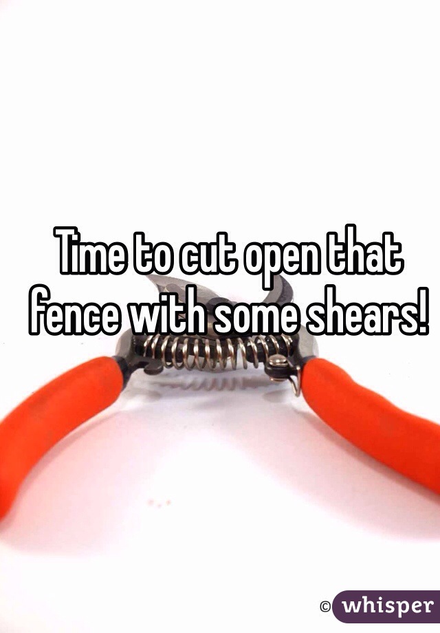 Time to cut open that fence with some shears!