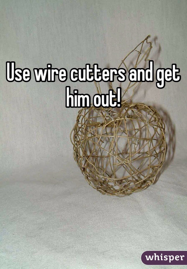 Use wire cutters and get him out!