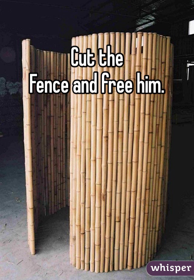 Cut the
Fence and free him.