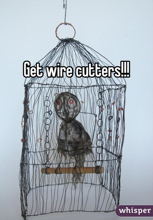 Get wire cutters!!!