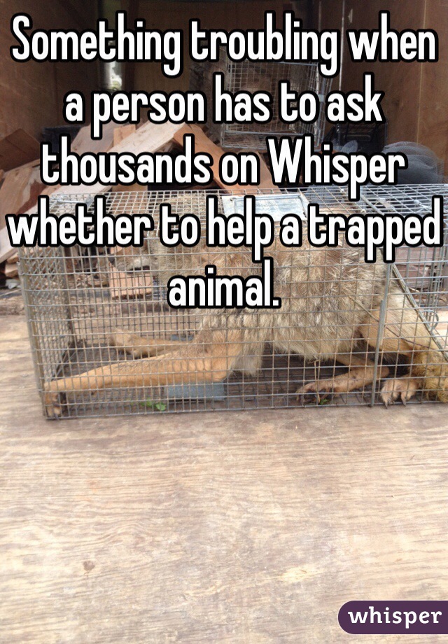 Something troubling when a person has to ask thousands on Whisper whether to help a trapped animal.