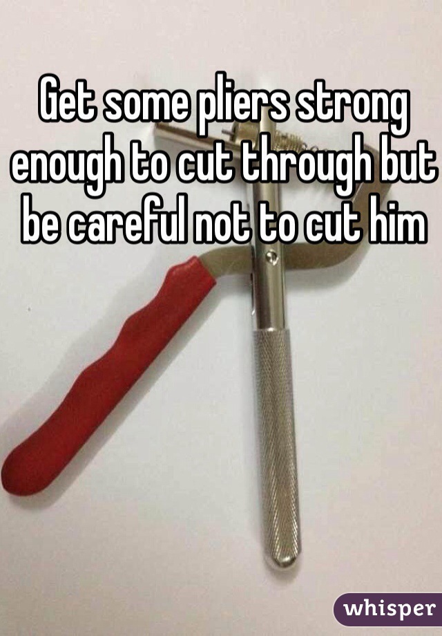 Get some pliers strong enough to cut through but be careful not to cut him