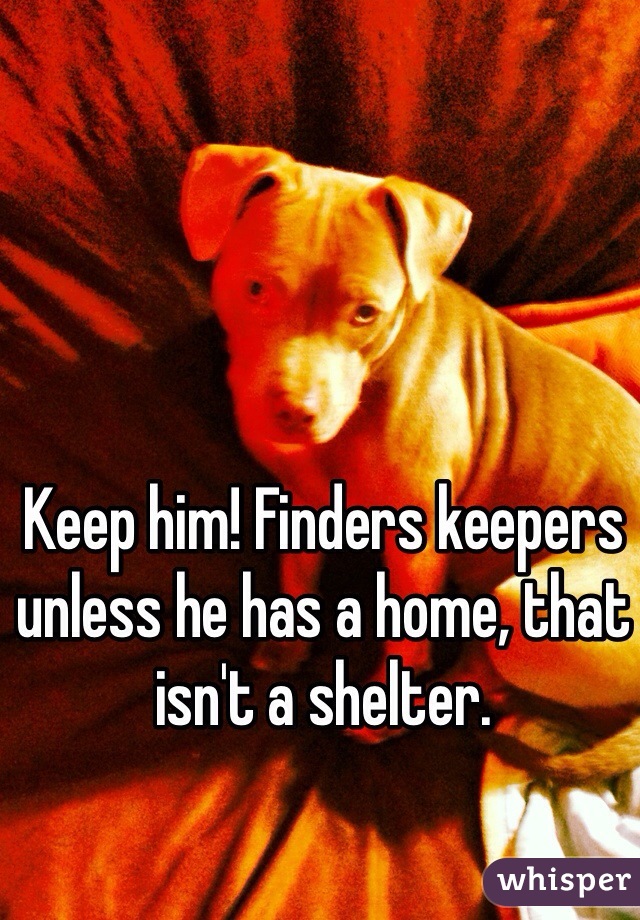 Keep him! Finders keepers unless he has a home, that isn't a shelter. 