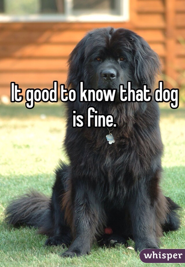 It good to know that dog is fine.