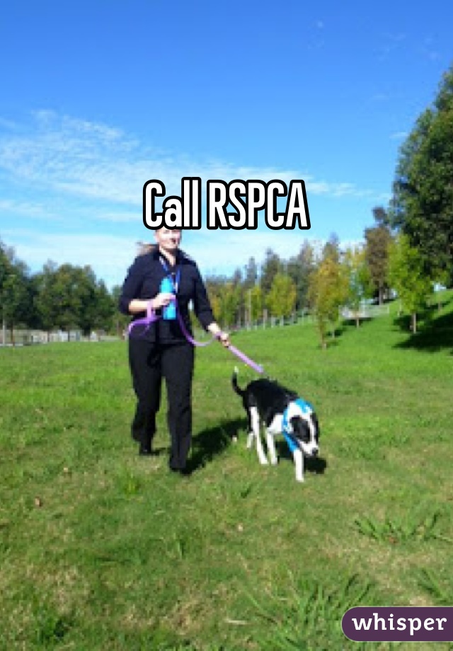 Call RSPCA