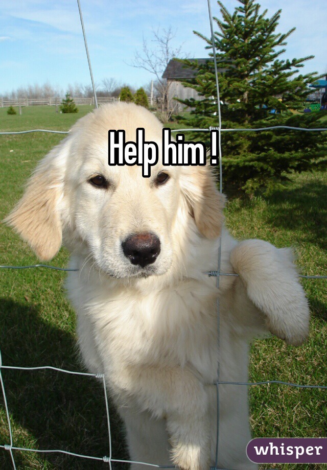 Help him ! 