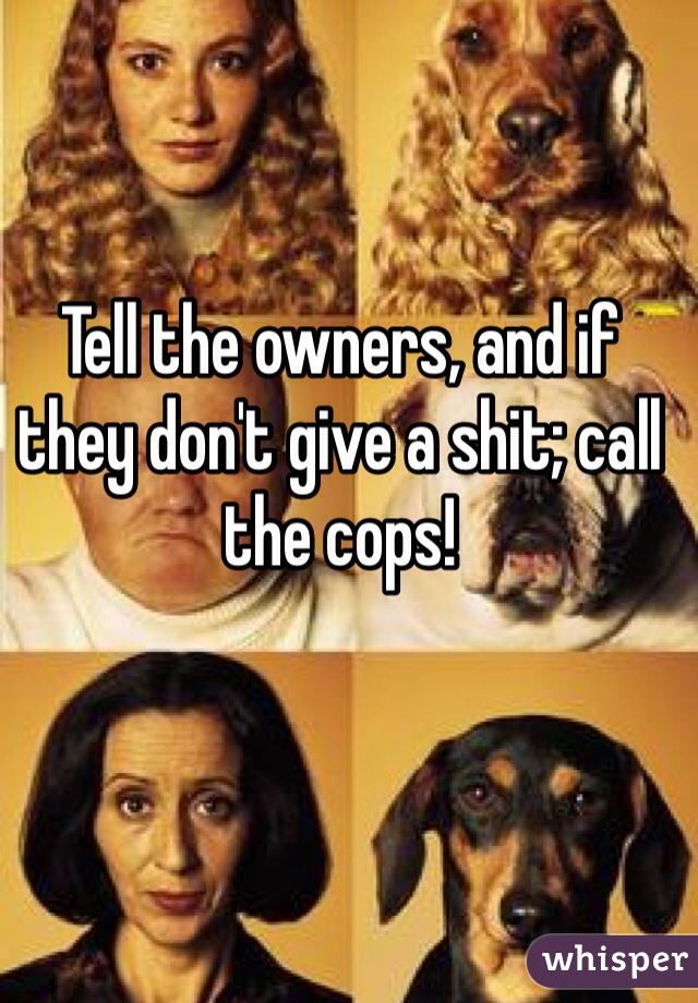 Tell the owners, and if they don't give a shit; call the cops!