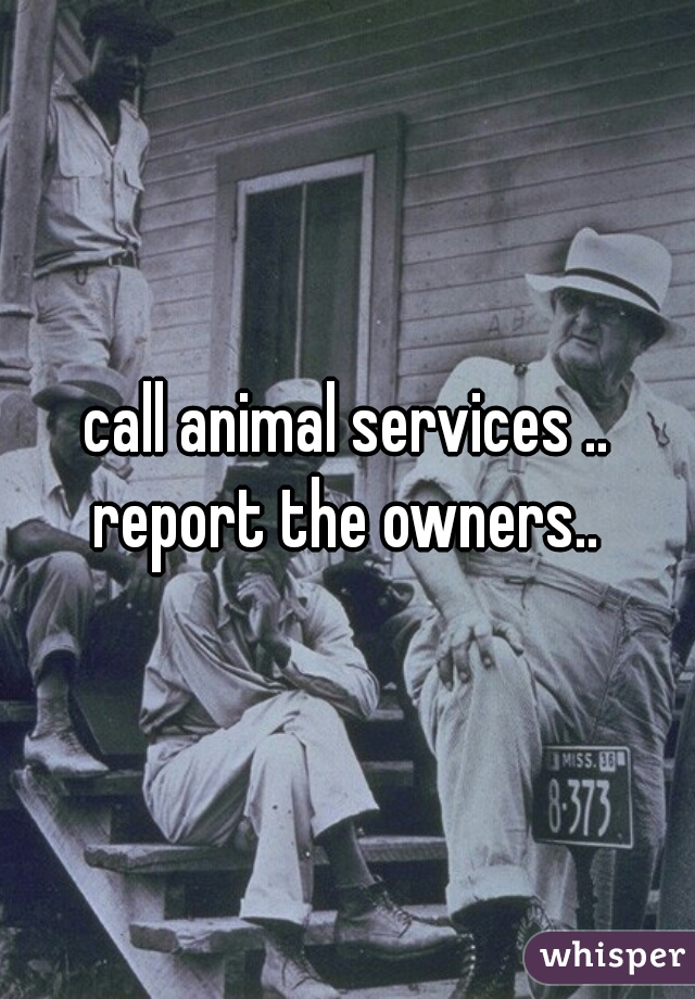 call animal services .. report the owners.. 