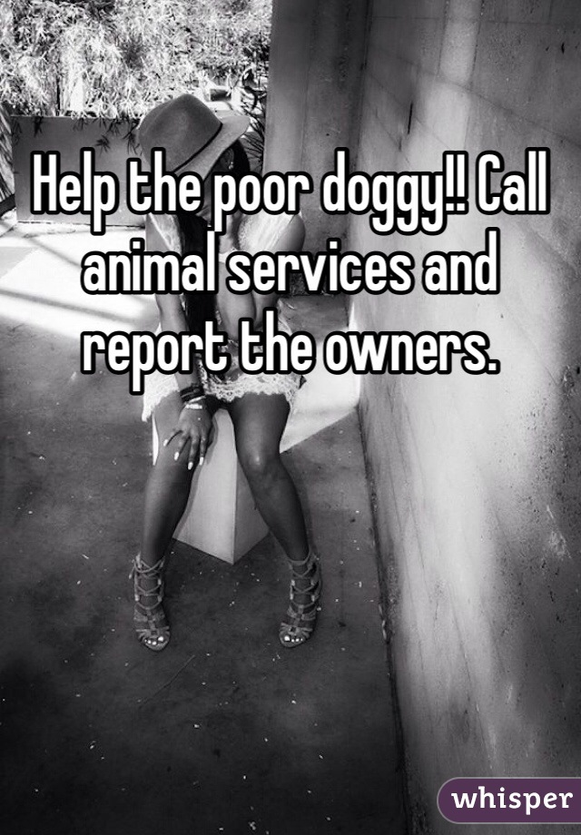 Help the poor doggy!! Call animal services and report the owners. 