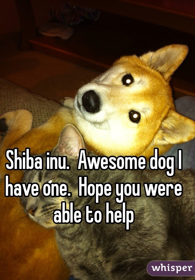 Shiba inu.  Awesome dog I have one.  Hope you were able to help