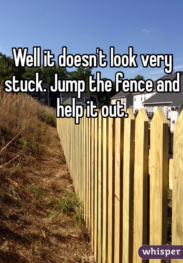 Well it doesn't look very stuck. Jump the fence and help it out. 