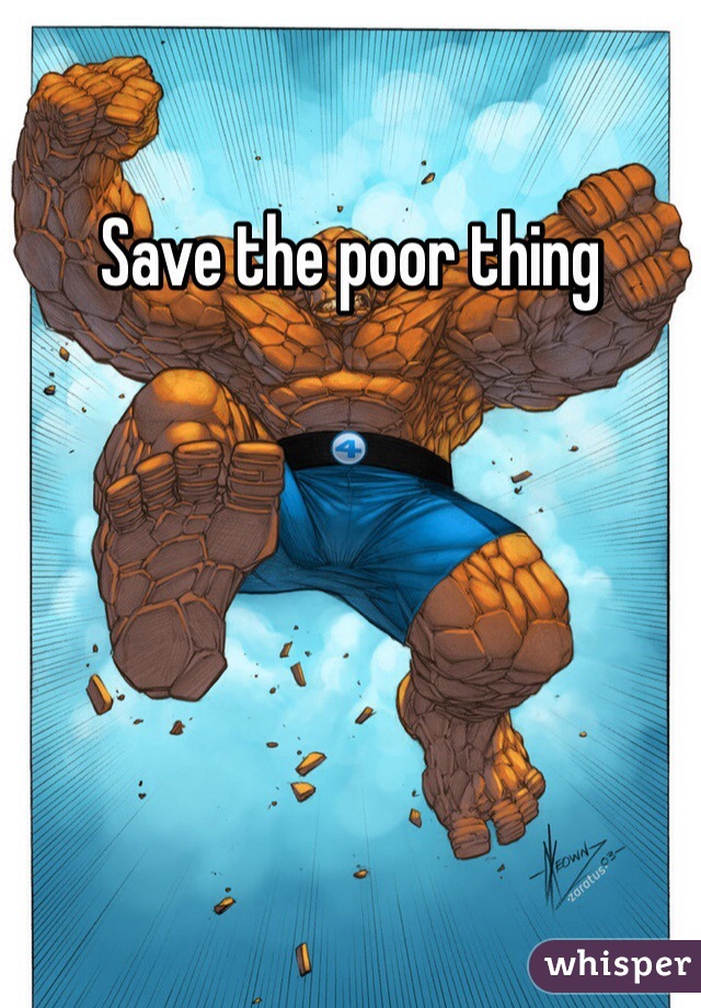 Save the poor thing 