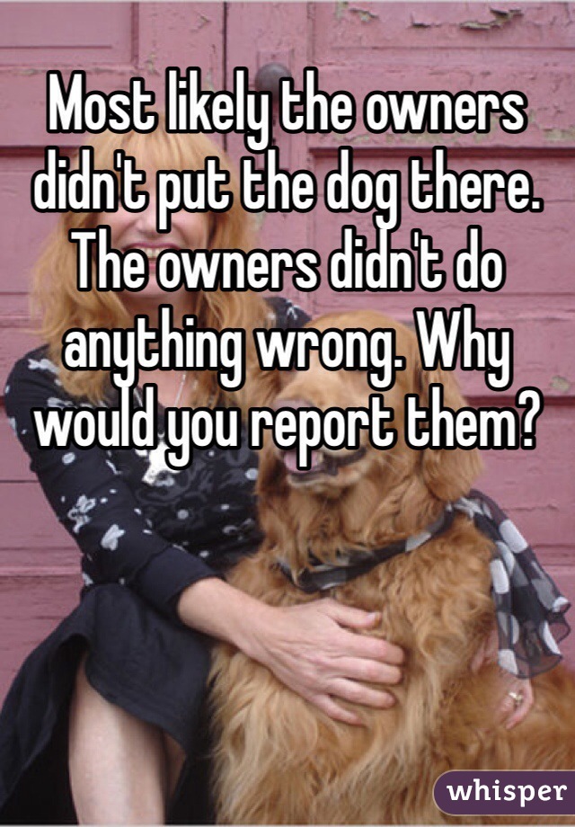 Most likely the owners didn't put the dog there. The owners didn't do anything wrong. Why would you report them? 