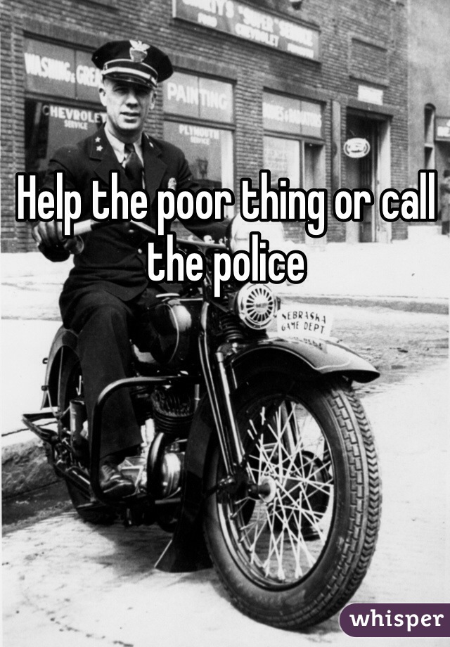 Help the poor thing or call the police 