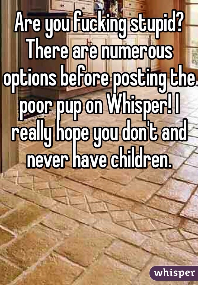 Are you fucking stupid? There are numerous options before posting the poor pup on Whisper! I really hope you don't and never have children.