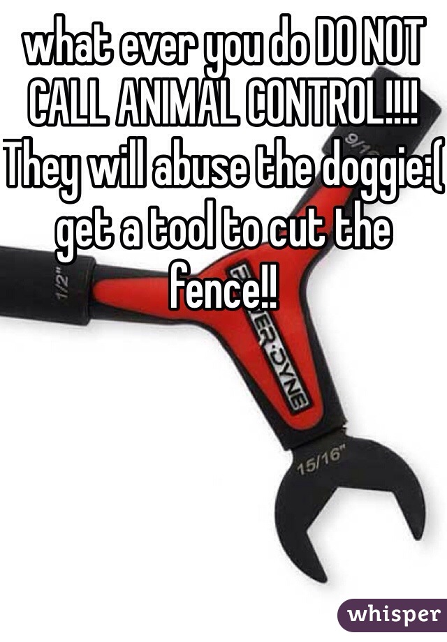 what ever you do DO NOT CALL ANIMAL CONTROL!!!! They will abuse the doggie:( get a tool to cut the fence!!