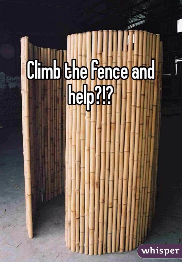 Climb the fence and help?!? 