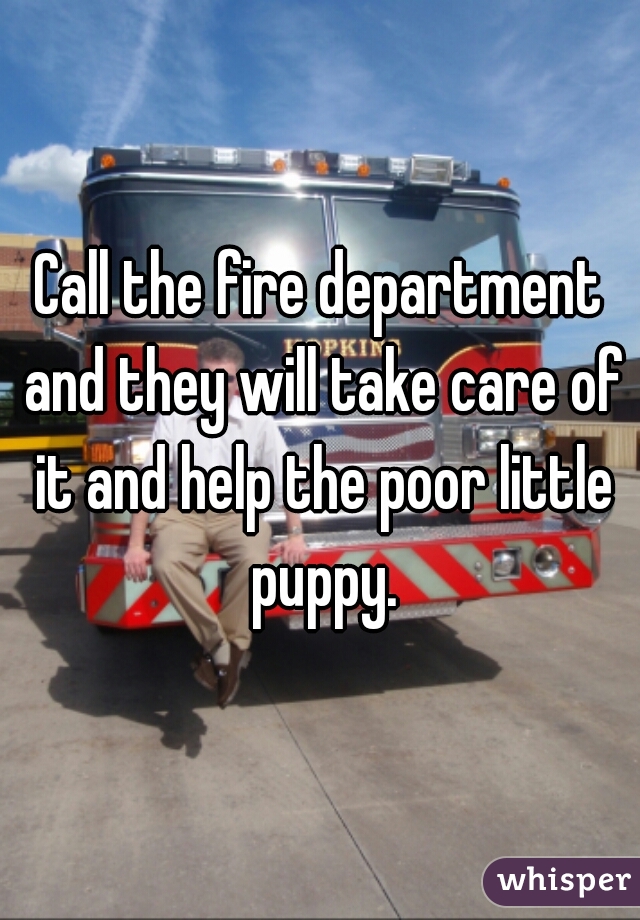 Call the fire department and they will take care of it and help the poor little puppy.