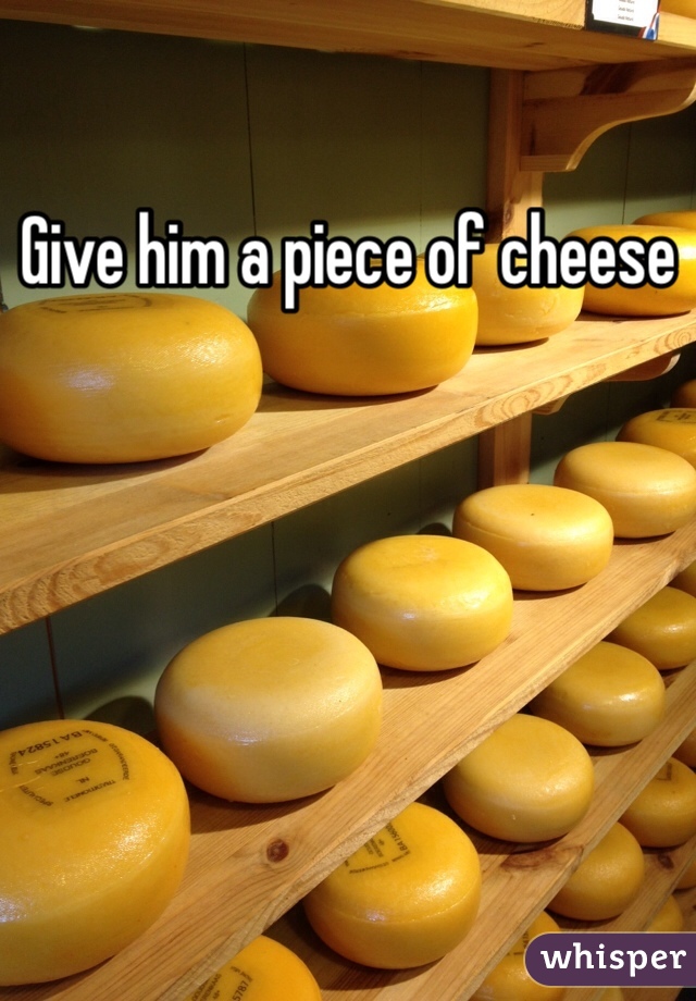 Give him a piece of cheese