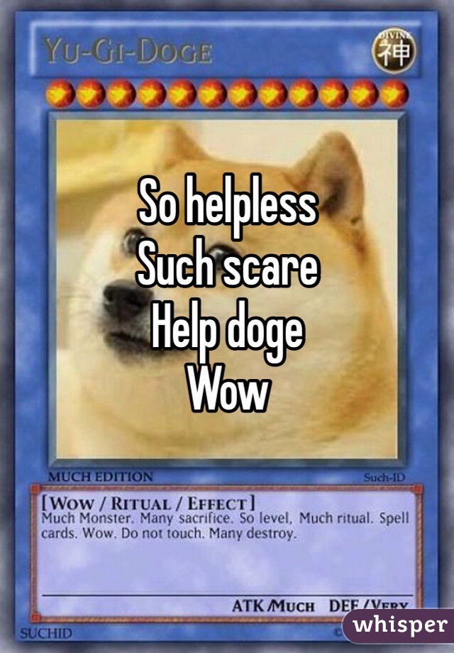 So helpless
Such scare
Help doge
Wow
